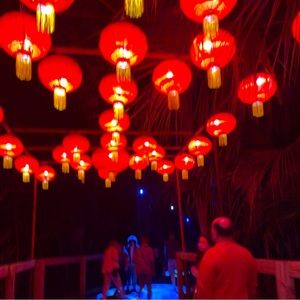 Meet your Posher, Esther